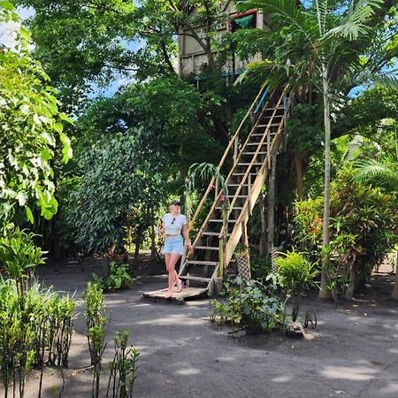 Tanna Volcano View Tree House Lenkuru 외부 사진