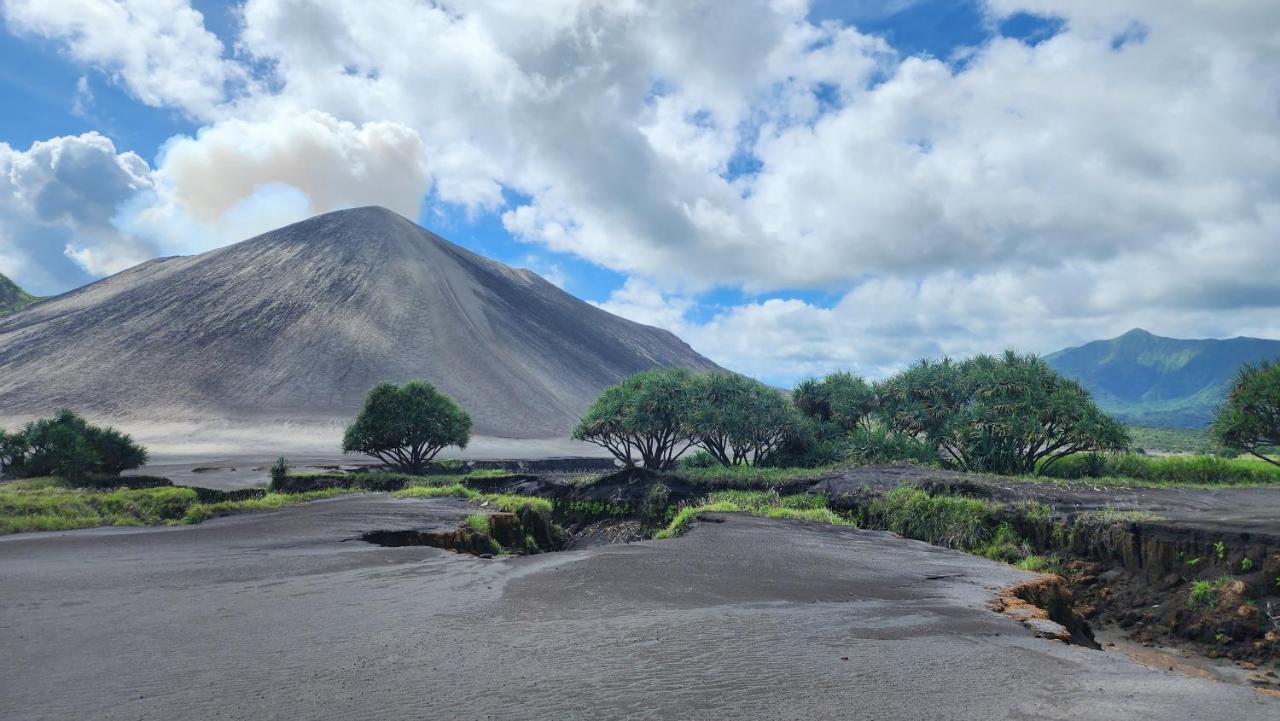 Tanna Volcano View Tree House Lenkuru 외부 사진