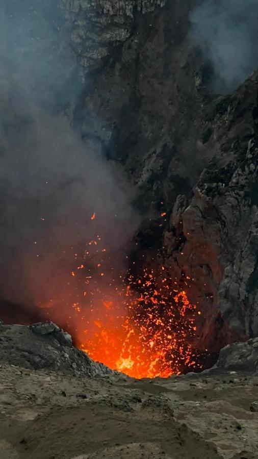 Tanna Volcano View Tree House Lenkuru 외부 사진